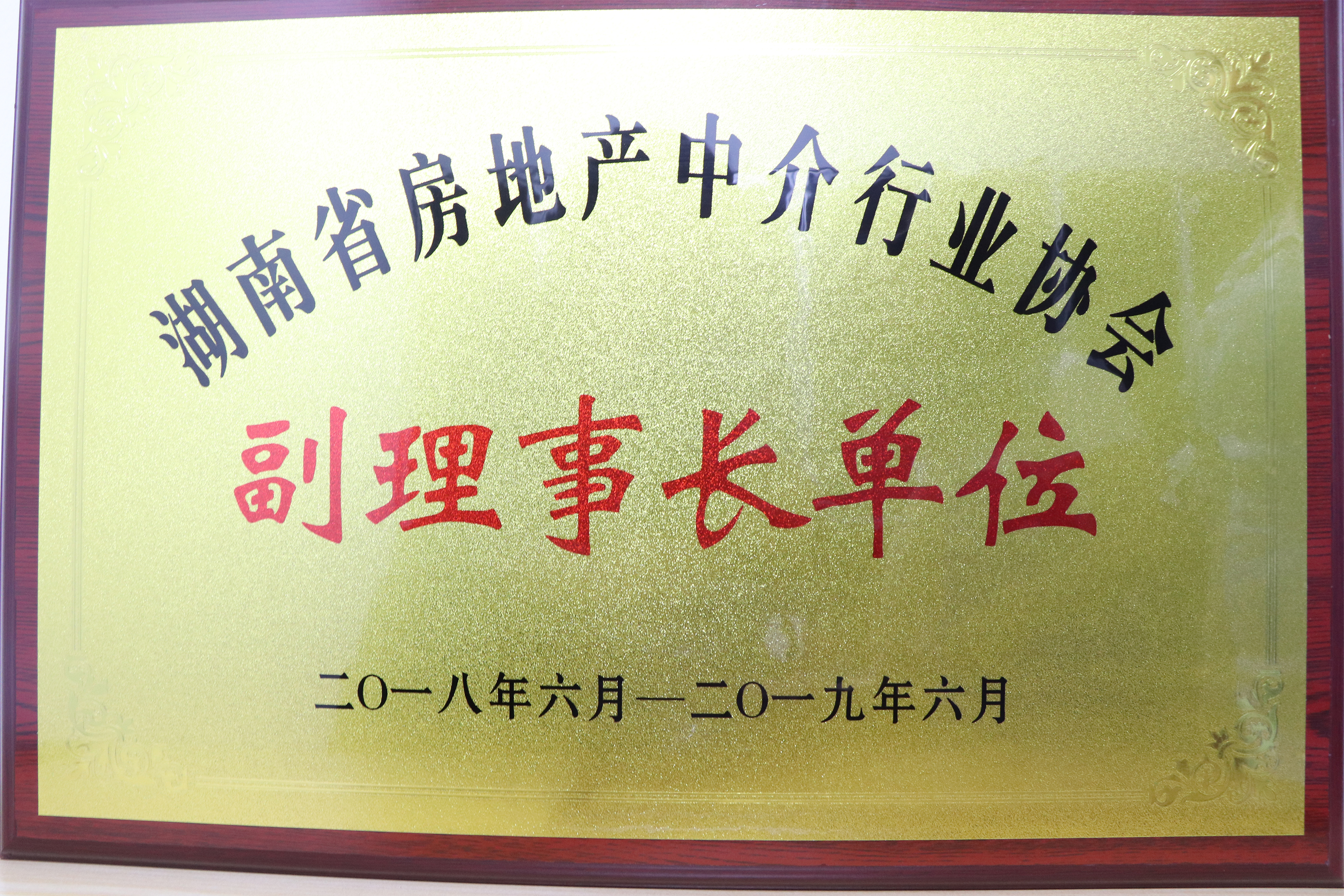 2018-2019年度湖南省房地產(chǎn)中介行業(yè)協(xié)會副理事長單位
