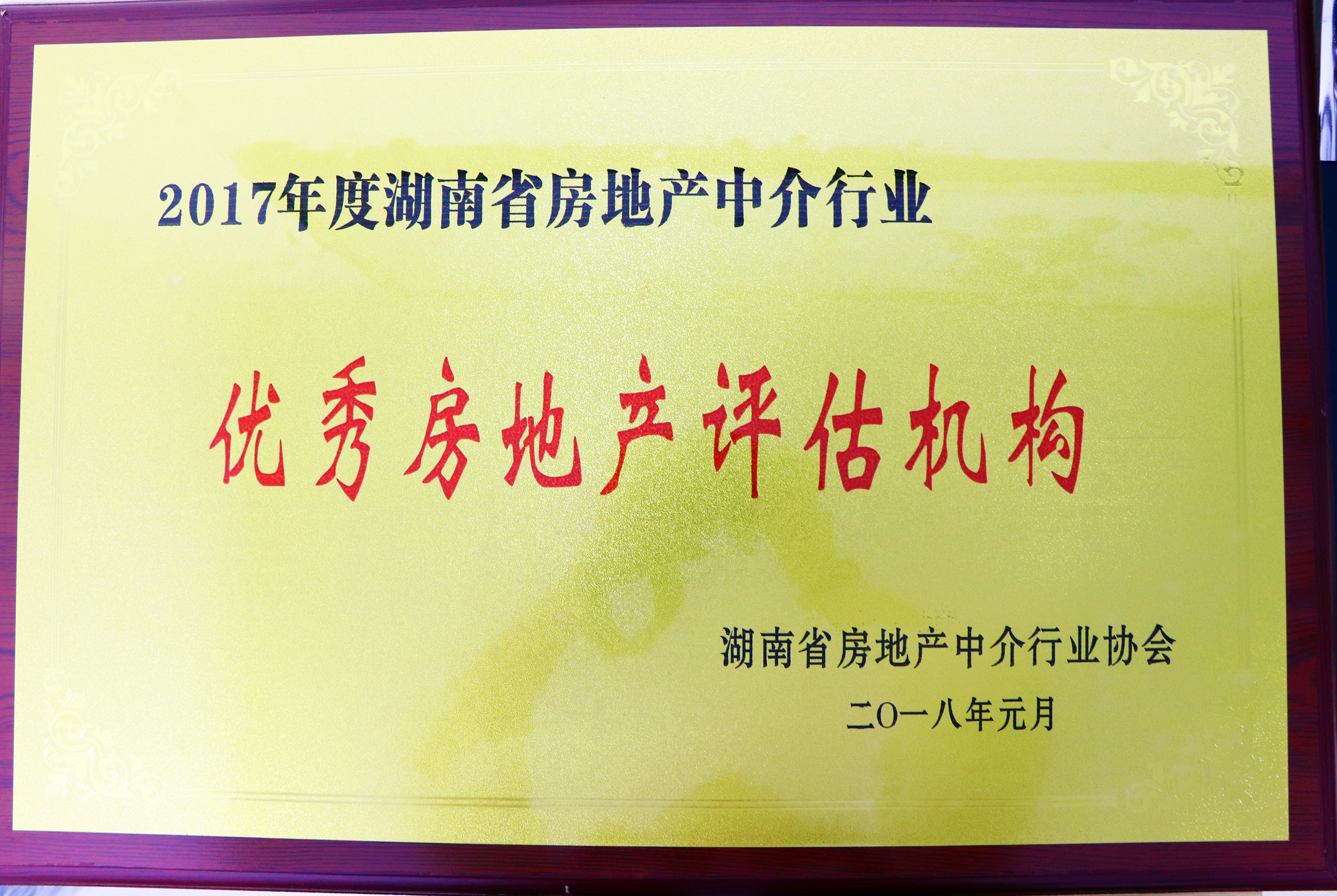2017年度湖南省房地產(chǎn)中介行業(yè)優(yōu)秀房地產(chǎn)評估機構(gòu)