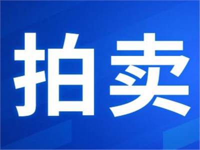 希爾得拍賣|衡東縣公共機構屋頂光伏發(fā)電項目27年特許經營權拍賣公告